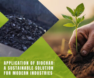 Biochar applications:  sustainable solutions fo...