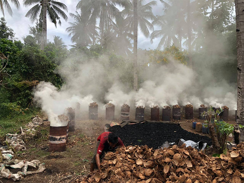 Carbonized coconut shell