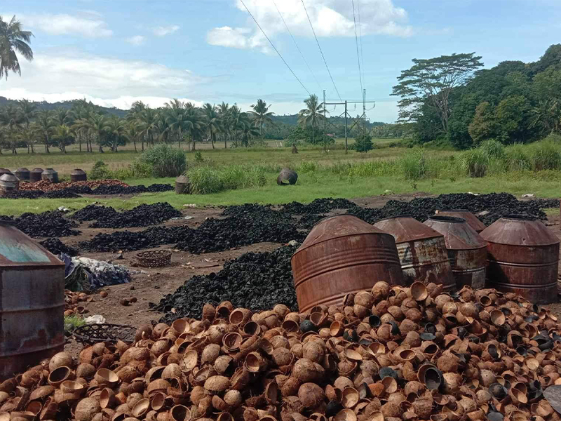 coconut shell charcoal